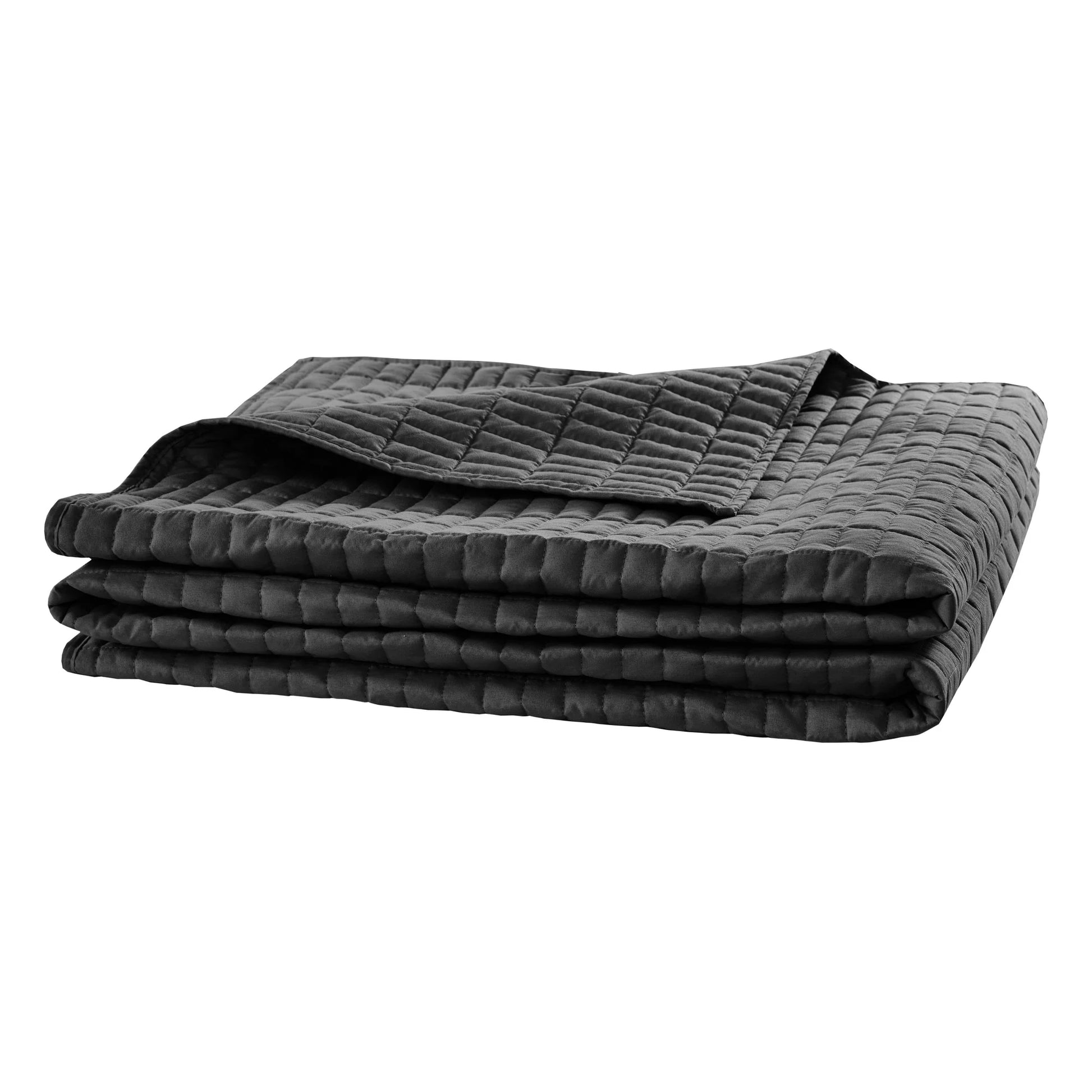 Kienna Twin/Twin-Xl Quilt Set 3 Piece Breathable Lightweight Black Reversible Summer Comforter Set